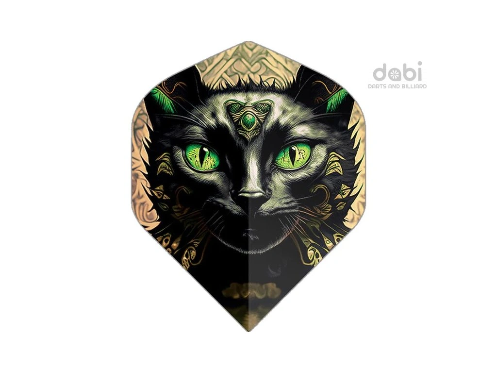 Black Cat Black Cat