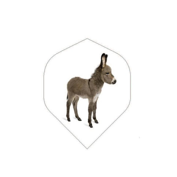 Donkey Donkey