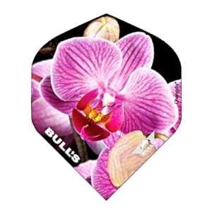 Bulls Powerflight - Orchid Bulls Powerflight - Orchid