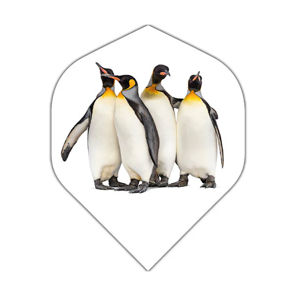 Penguins Penguins