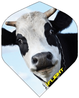 Ruthless i_Flight Curious Cow Ruthless i_Flight Curious Cow
