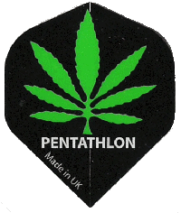Pent. MJ. Green/Black Regular Pent. MJ. Green/Black Regular