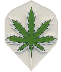 Green M.J./Clear Reg. Green M.J./Clear Reg.
