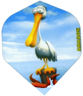 Pelican Pelican