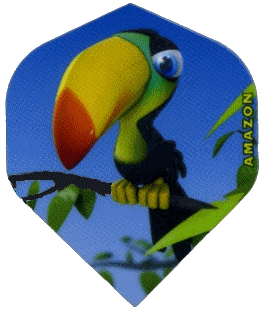 Toucan Toucan