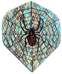 Holo. Black Spider Silver Reg. Holo. Black Spider Silver Reg.
