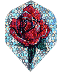Holo. Silver/Red Rose Reg. Holo. Silver/Red Rose Reg.