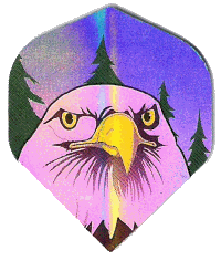 Holo. Eagle Head/Blue Reg. Holo. Eagle Head/Blue Reg.