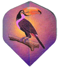 Holo. Toucan Holo. Toucan