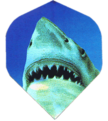 Holo. Silver Jaws/Blue Holo. Silver Jaws/Blue