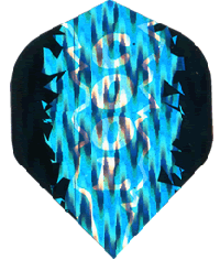 Holo Blue Cool/Black Holo Blue Cool/Black