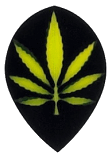 Poly Yellow MJ on Black Pear Poly Yellow MJ on Black Pear