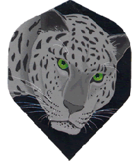 Poly Grey Leopard Green Eyes Reg Poly Grey Leopard Green Eyes Reg