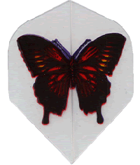 Poly Butterfly on Clear Reg. Poly Butterfly on Clear Reg.