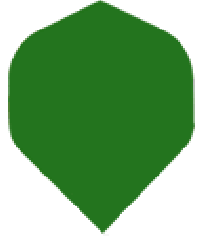 Poly Plain Green Reg. Poly Plain Green Reg.