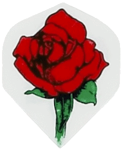 Poly Red Rose/White Reg. Poly Red Rose/White Reg.