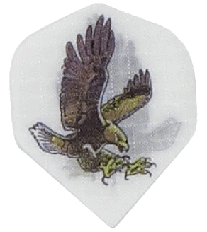 Nylon Eagle/White Reg. Nylon Eagle/White Reg.