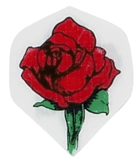 Nylon White Rose Nylon White Rose